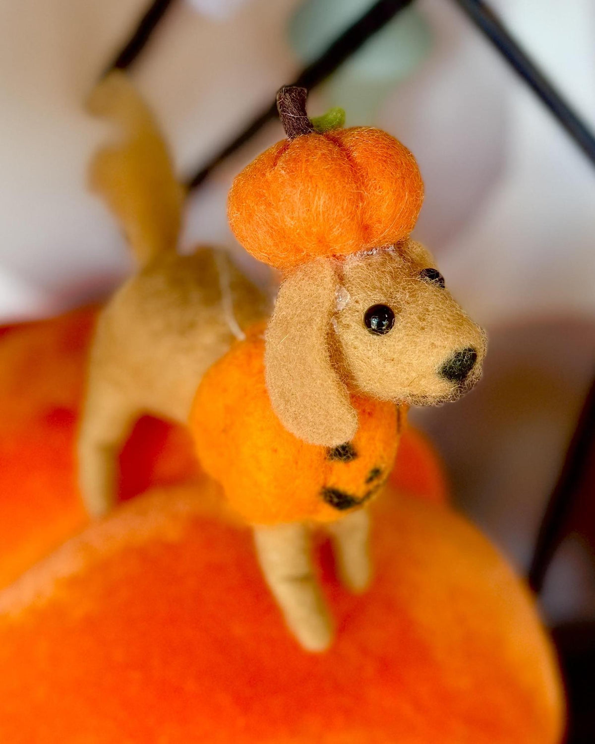 A small felt dog decoration wearing an orange pumpkin hat and matching pumpkin body, posed among large orange pumpkins in a softly blurred setting.