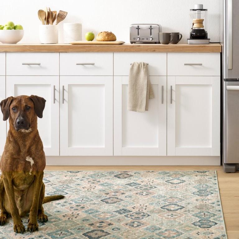 Rug - Machine Washable - Pali Blue
