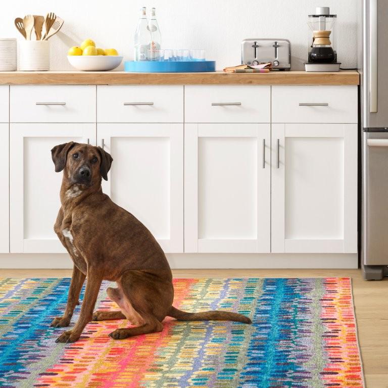 Rug - Machine Washable - Paint Chip Multi