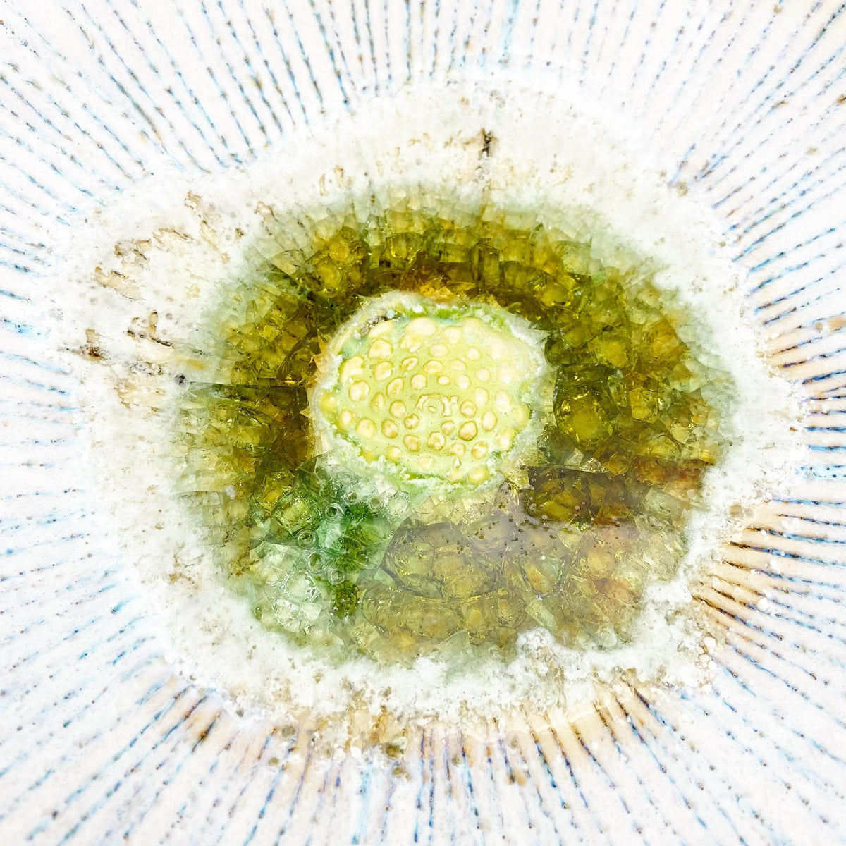 Ceramic Wall Art - Dogwood - Medium